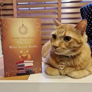"The Cat Who Saved Books" book review by Japan Fans. Japanese Arts & Culture from the Centre of Utrecht, the Netherlands. Japans Cultureel Centrum Utrecht.