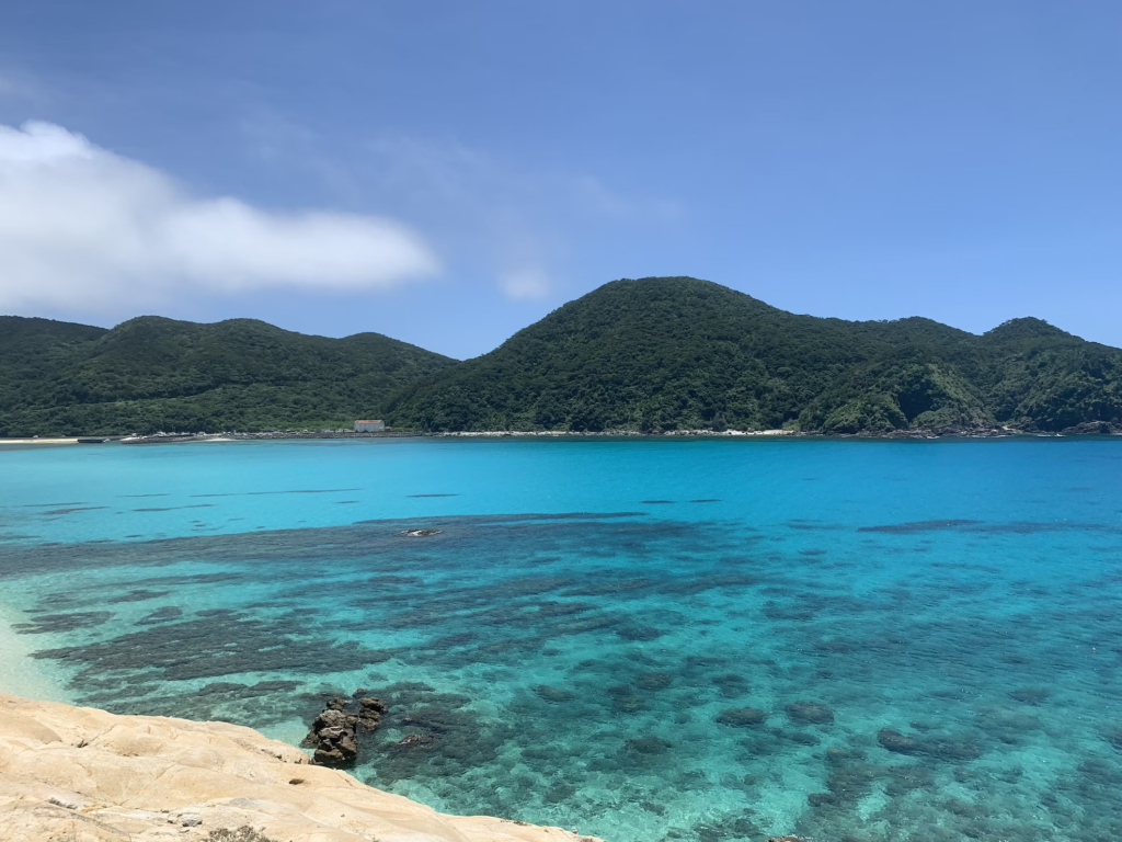 The Blue Zone of Okinawa, Ikigai, nurture your social connections, move mindfully, savor your meals, immerse yourself in nature. Japan Fans