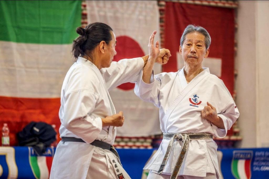 Leusden welcomes international karate seminar with renowned sensei Shimura, organised by Tsuru-do Kan Karate & Kobudo in Utrecht. Japan Fans