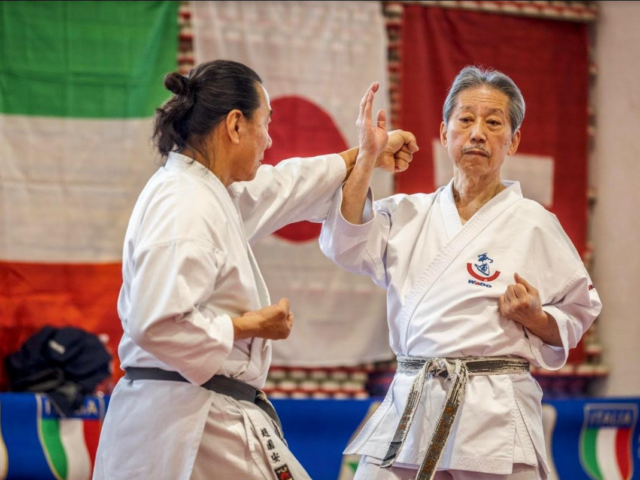 Leusden welcomes international karate seminar with renowned sensei Shimura